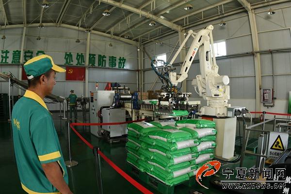 塞外香富硒家庭面粉（黑麦面粉家庭怎么吃）-硒宝网