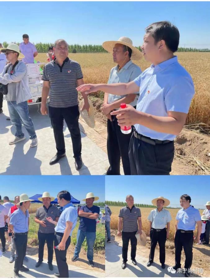 肃宁富硒石磨黑面粉(富硒石磨小麦粉)-硒宝网