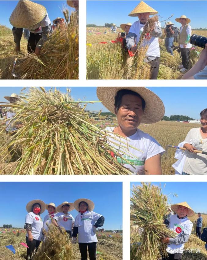 肃宁富硒石磨黑面粉(富硒石磨小麦粉)-硒宝网