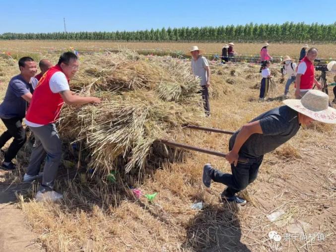 肃宁富硒石磨黑面粉(富硒石磨小麦粉)-硒宝网