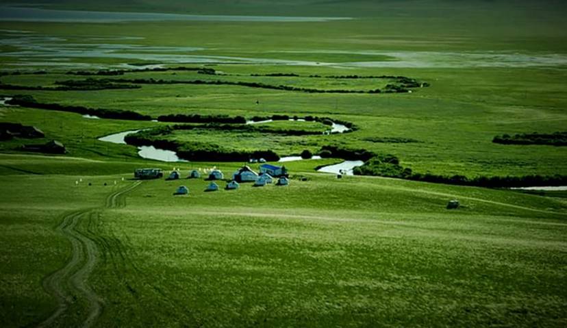 富硒黑小麦面粉营养(小麦面粉营养黑富硒含量高吗)-硒宝网