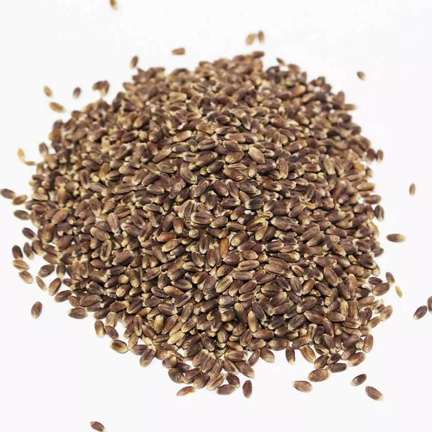 富硒黑小麦面粉营养(小麦面粉营养黑富硒含量高吗)-硒宝网