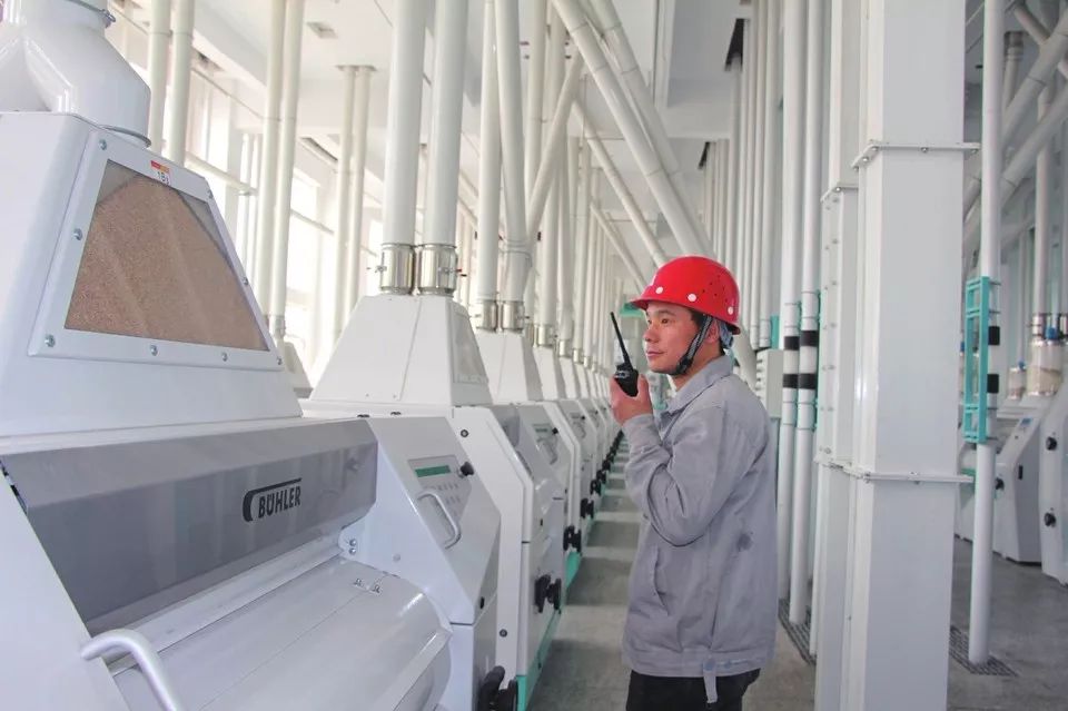 富硒小麦面粉的价格（富硒小麦的价格）-硒宝网