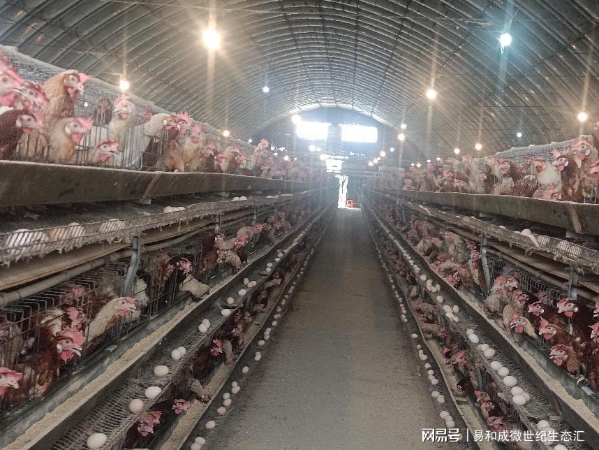 富硒营养面粉怎么做（面粉营养富硒做什么好吃）-硒宝网