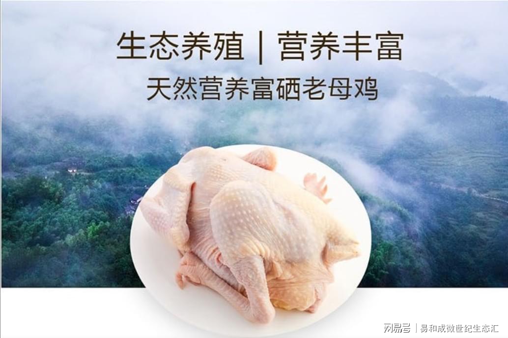 富硒营养面粉怎么做（面粉营养富硒做什么好吃）-硒宝网