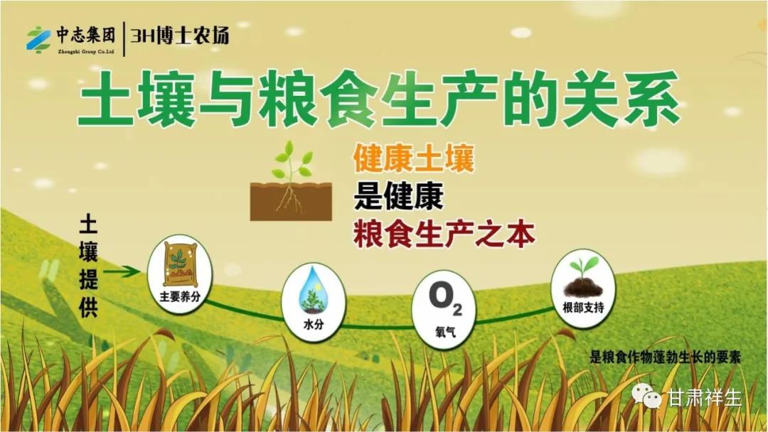 富硒面粉吃了会胖吗(面粉胖吃富硒会胖吗)-硒宝网