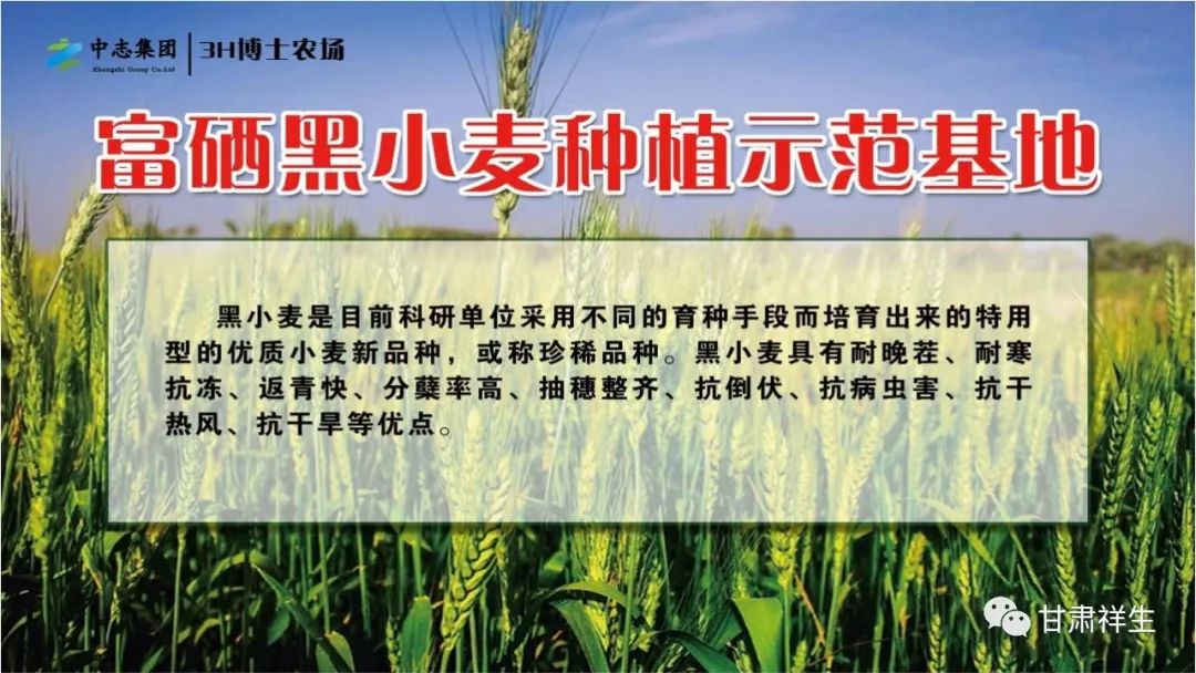 富硒面粉吃了会胖吗(面粉胖吃富硒会胖吗)-硒宝网