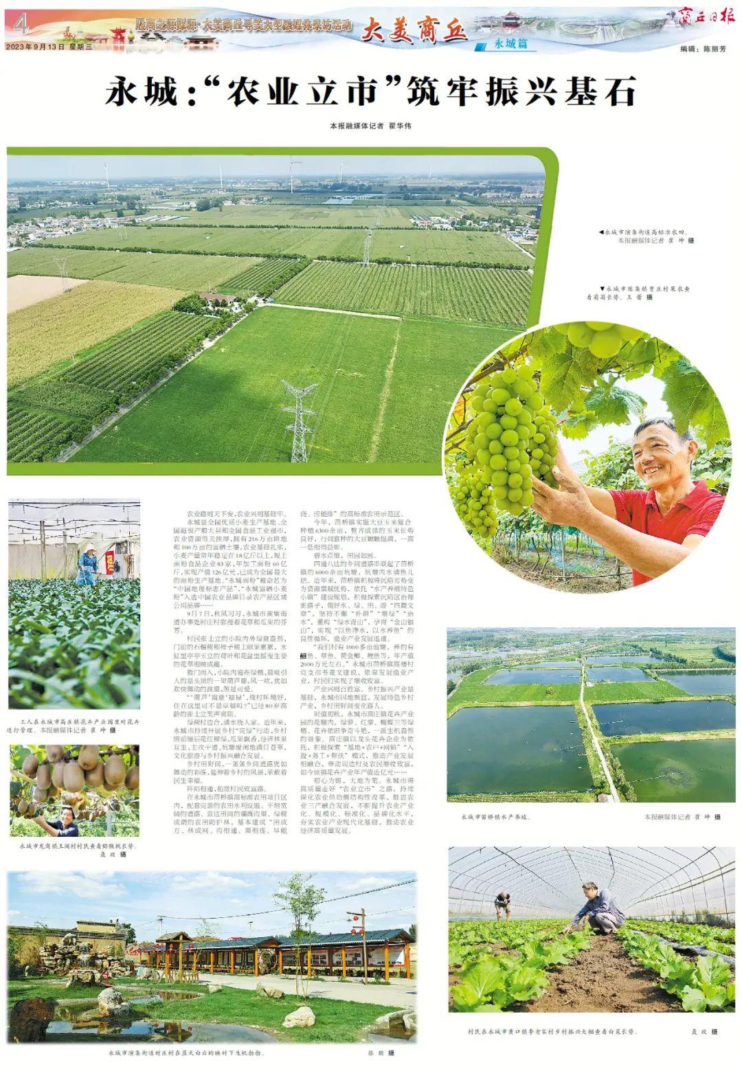 永城富硒面粉价格表(永城面粉怎么样)-硒宝网