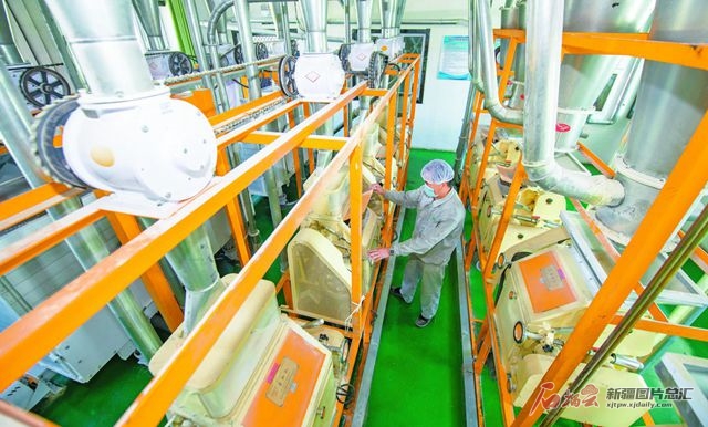 新疆富硒面粉多少钱(富硒面粉是骗局吗)-硒宝网