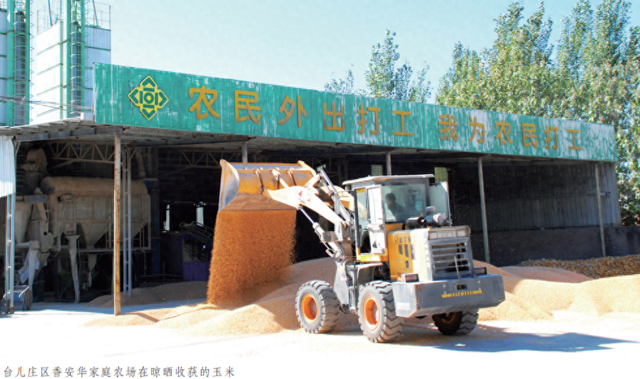 石磨富硒面粉长啥样（石磨的面粉去掉麸皮吗）-硒宝网