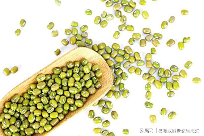 富硒面粉的营养价值(面粉营养功效)-硒宝网