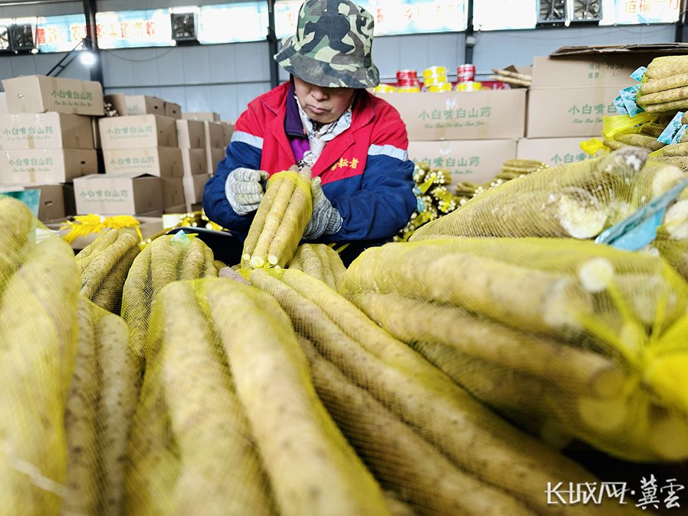 安平县富硒面粉厂家(富硒面粉产地)-硒宝网
