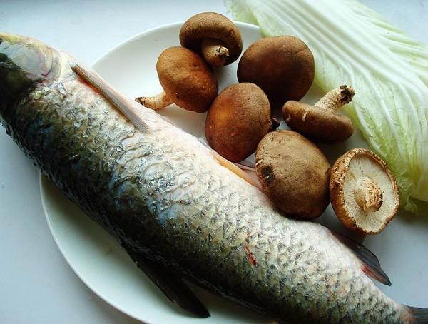 什么菜补铁(菜补铁吗)-硒宝网