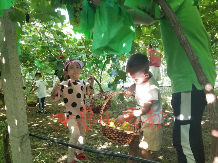 久润源富硒石磨面粉（石磨面粉图片）-硒宝网