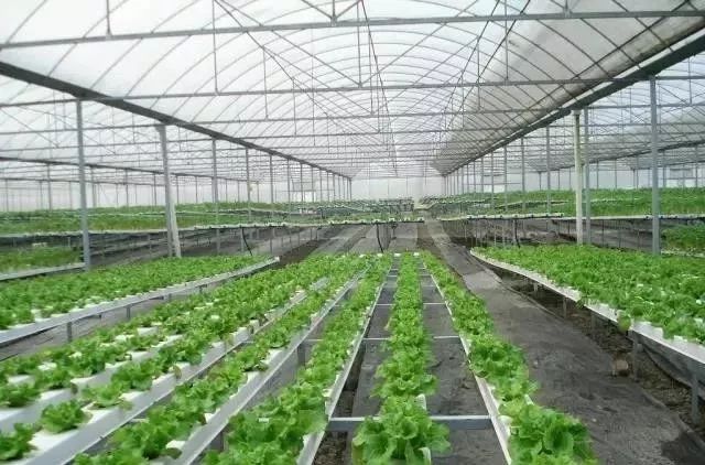 蔬菜富硒营养液配方（配方蔬菜液营养富硒蛋白）-硒宝网