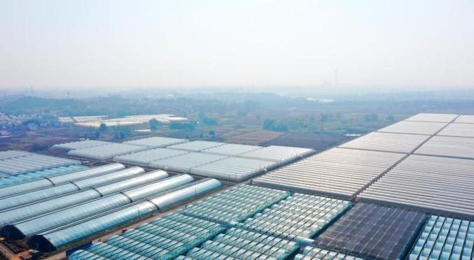 赣州富硒蔬菜的劣势（富硒农产品市场分析）-硒宝网