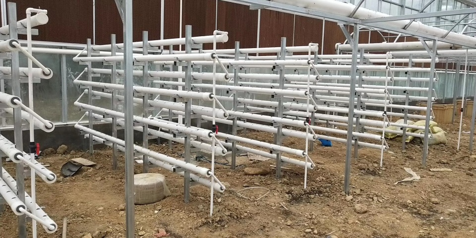 蔬菜富硒营养液配方（蔬菜营养液对人体有害吗）-硒宝网