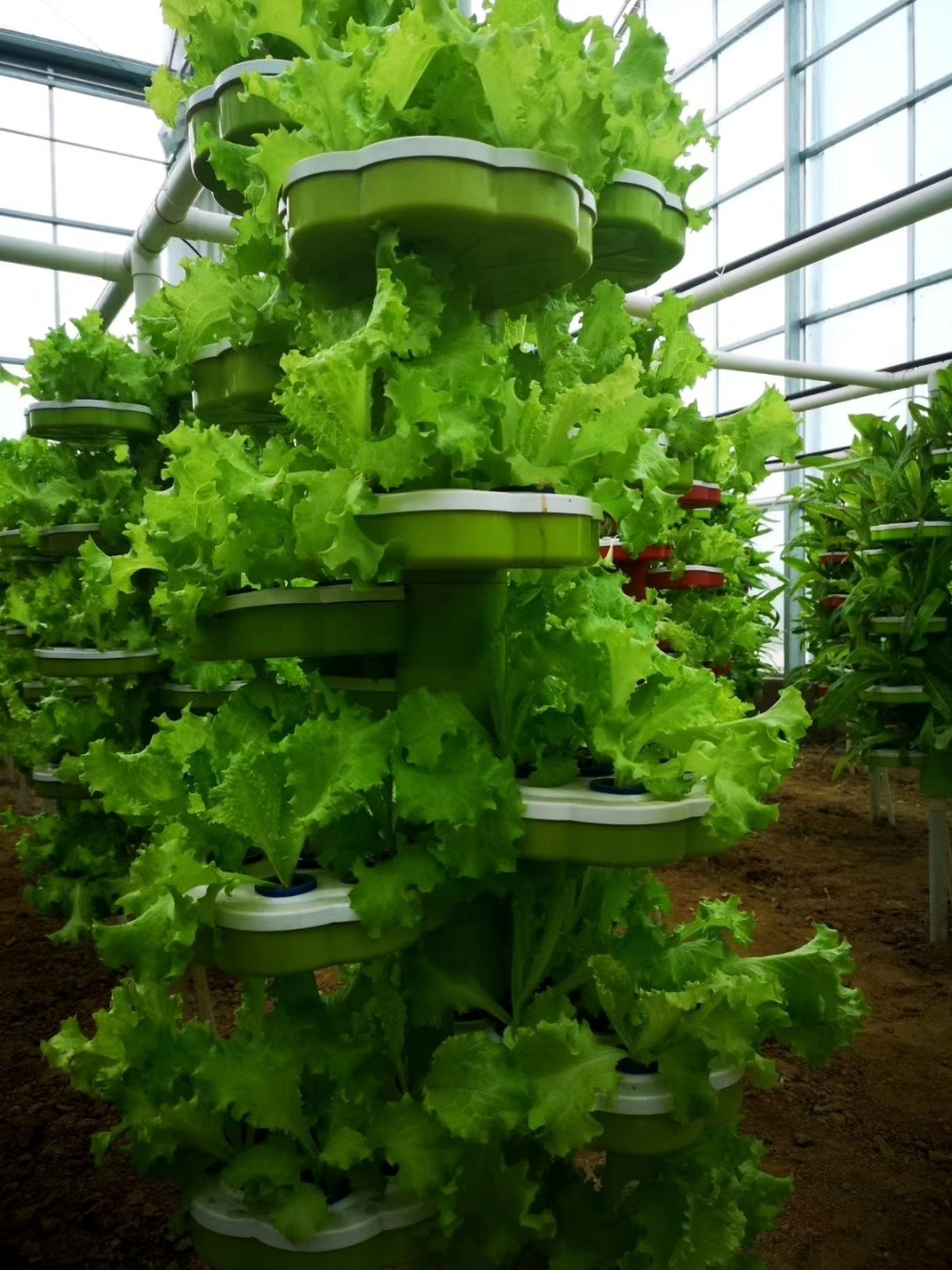 蔬菜富硒营养液配方（蔬菜营养液对人体有害吗）-硒宝网