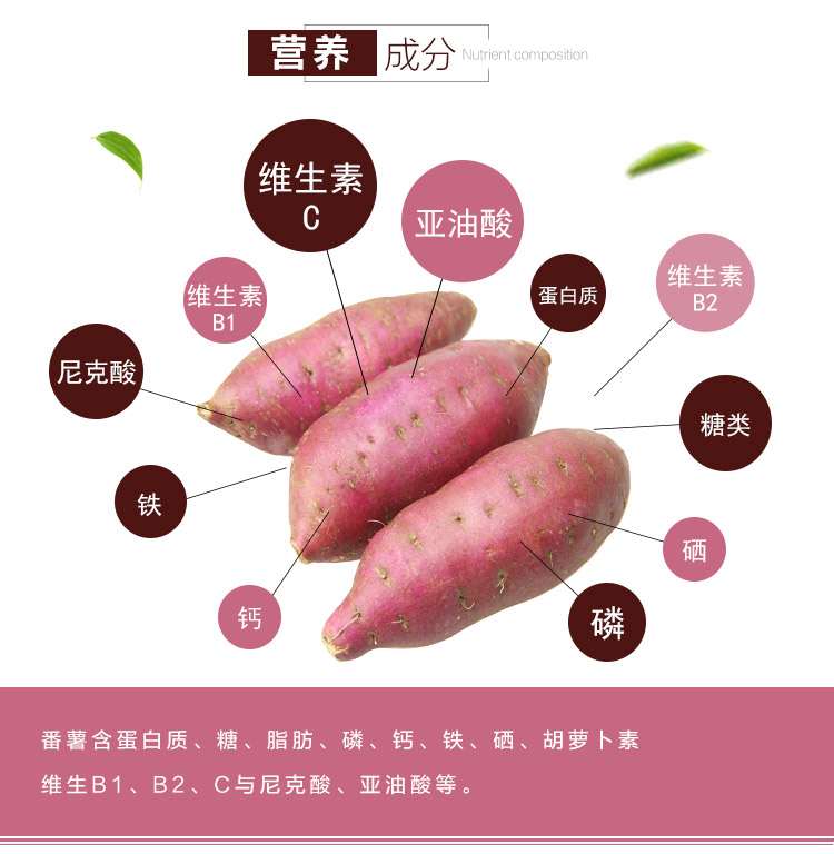 有机蔬菜和富硒蔬菜(蔬菜富硒标准是多少)-硒宝网