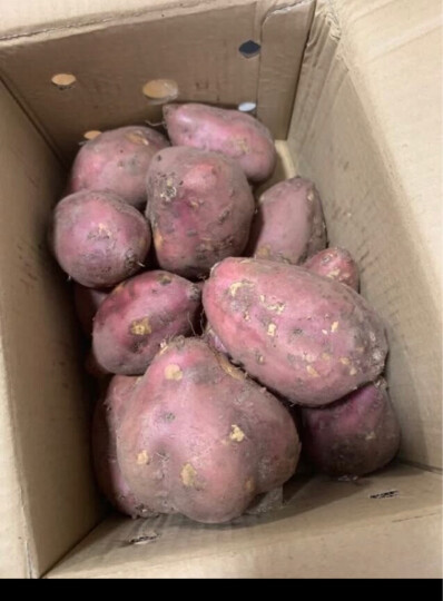 有机蔬菜和富硒蔬菜(蔬菜富硒标准是多少)-硒宝网