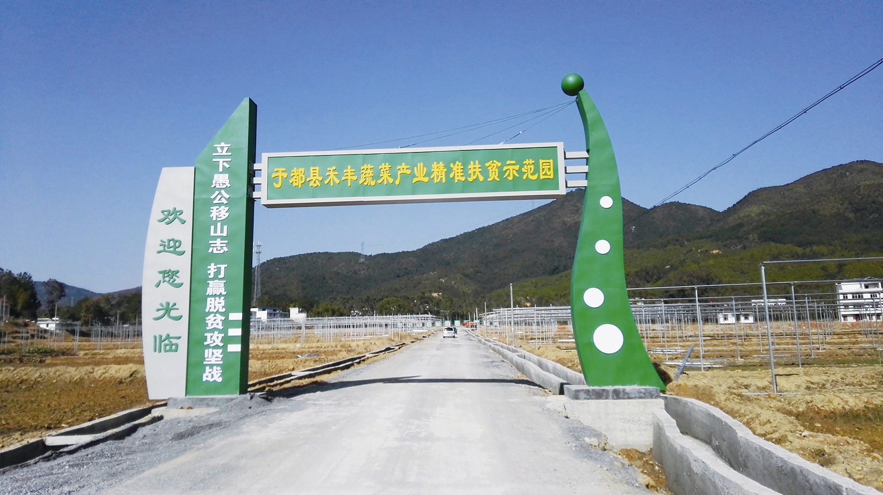 富硒蔬菜一天摄入量(摄入蔬菜量一天富硒含量多少)-硒宝网