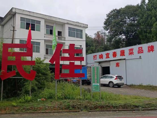 富硒蔬菜什么品种好（富硒蔬菜价格比普通蔬菜）-硒宝网