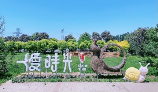 富硒蔬菜酵素有哪些(富硒水果酵素)-硒宝网