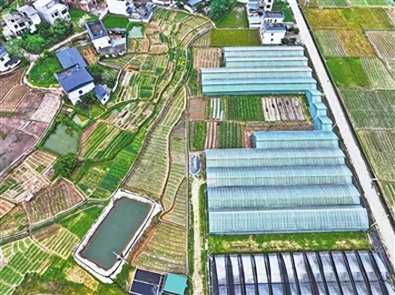 生产富硒蔬菜的县城（万亩富硒蔬菜基地）-硒宝网