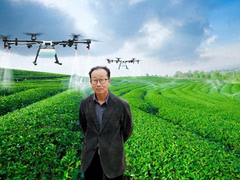 富硒蔬菜酵素有哪些（蔬菜酵素富硒有哪些）-硒宝网