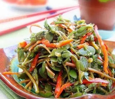 富硒蔬菜的种植方法(怎么种植富硒蔬菜)-硒宝网