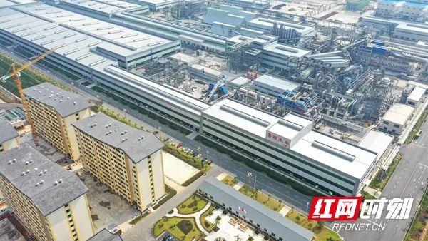 生产富硒蔬菜的县城（富硒蔬菜的国家标准值）-硒宝网