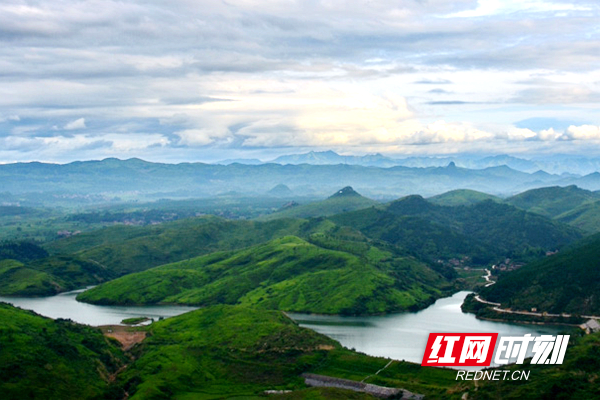 生产富硒蔬菜的县城（富硒蔬菜的国家标准值）-硒宝网