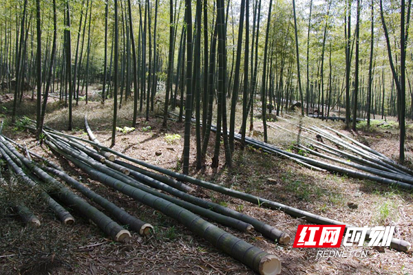 生产富硒蔬菜的县城（富硒蔬菜的国家标准值）-硒宝网