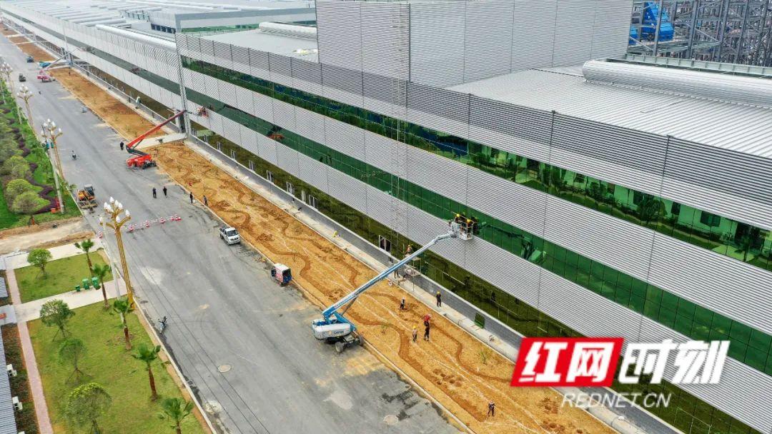 生产富硒蔬菜的县城（富硒蔬菜的国家标准值）-硒宝网