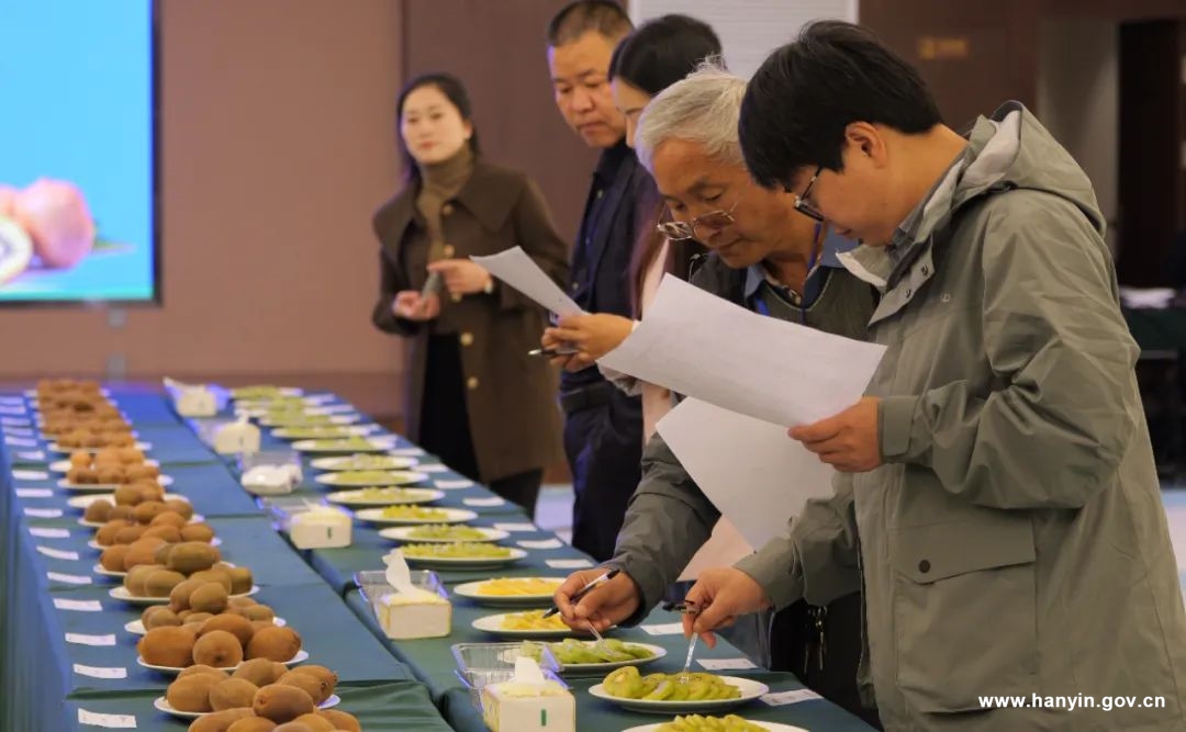 农村种植高富硒蔬菜(富硒地种的菜真那么值钱吗)-硒宝网