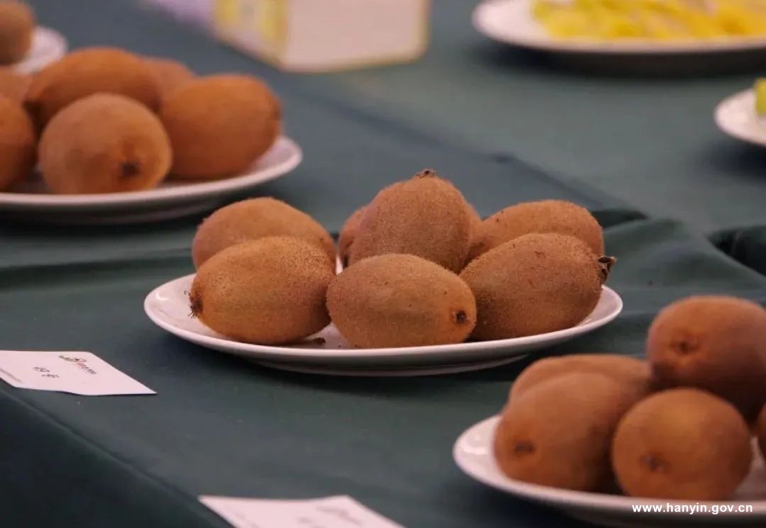 农村种植高富硒蔬菜(富硒地种的菜真那么值钱吗)-硒宝网