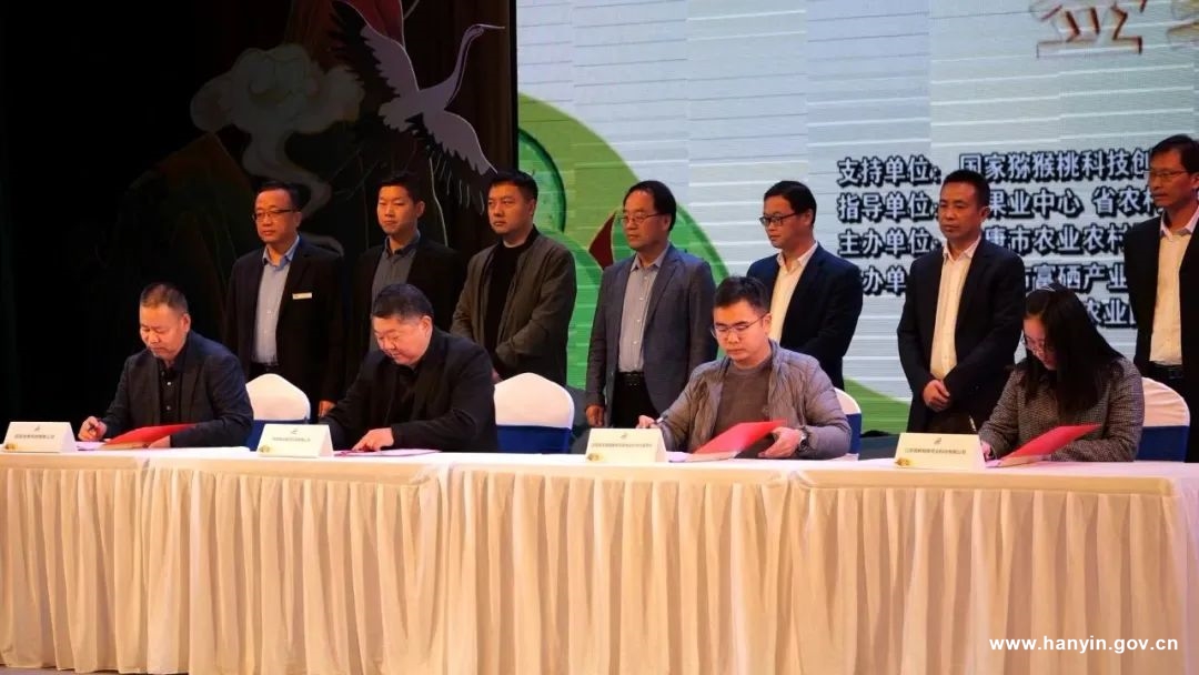 农村种植高富硒蔬菜(富硒地种的菜真那么值钱吗)-硒宝网