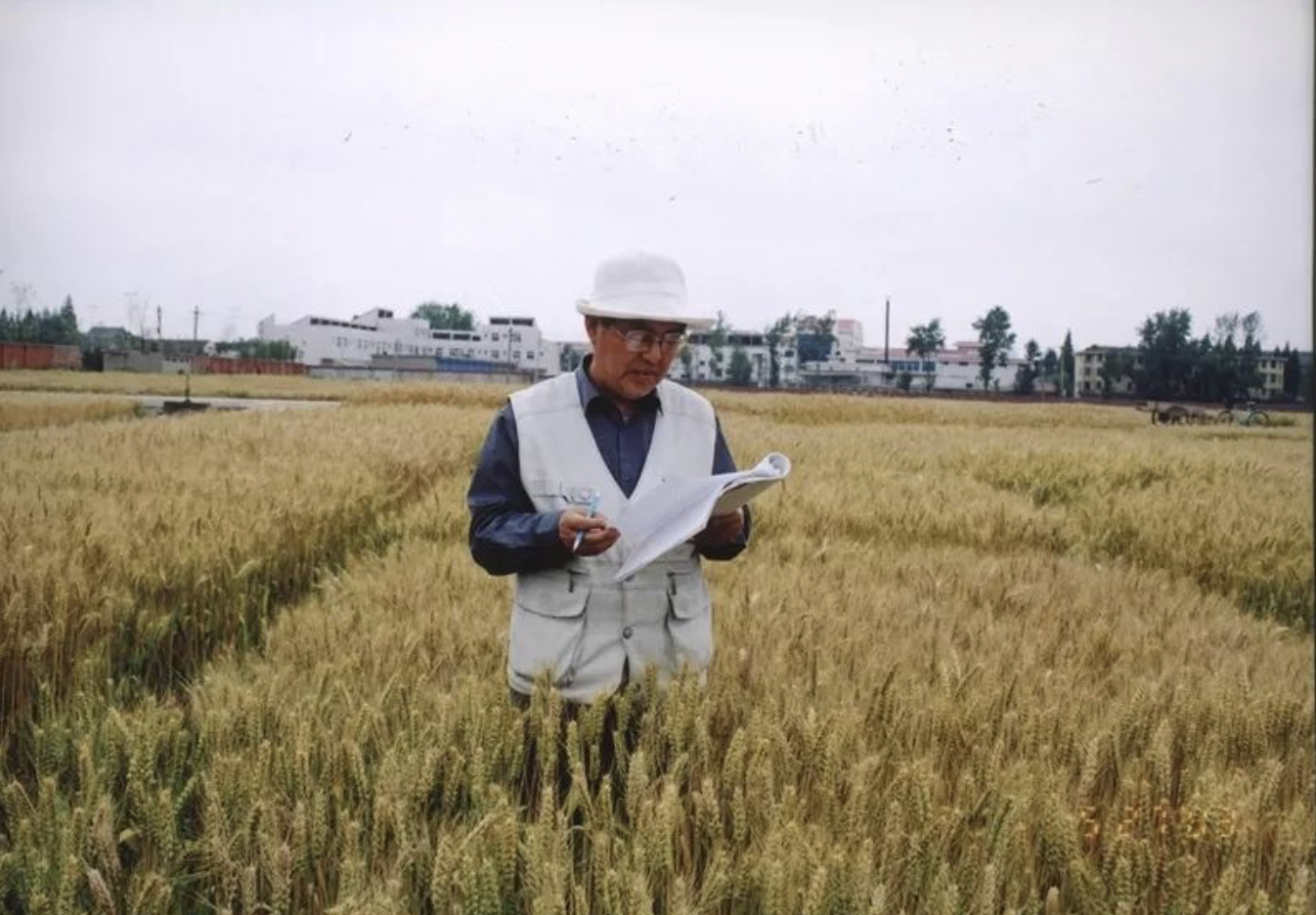 富硒水培蔬菜的营养（什么是富养水培蔬菜）-硒宝网