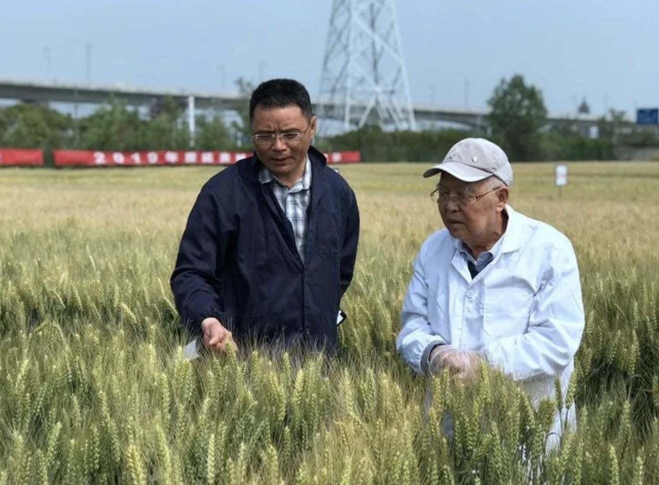 富硒水培蔬菜的营养（什么是富养水培蔬菜）-硒宝网