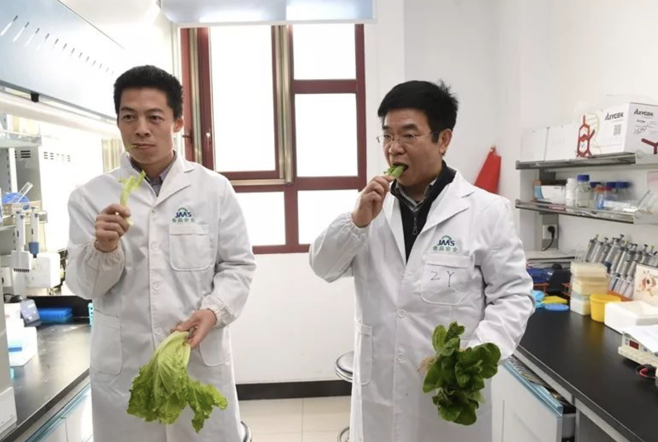 富硒水培蔬菜的营养（什么是富养水培蔬菜）-硒宝网