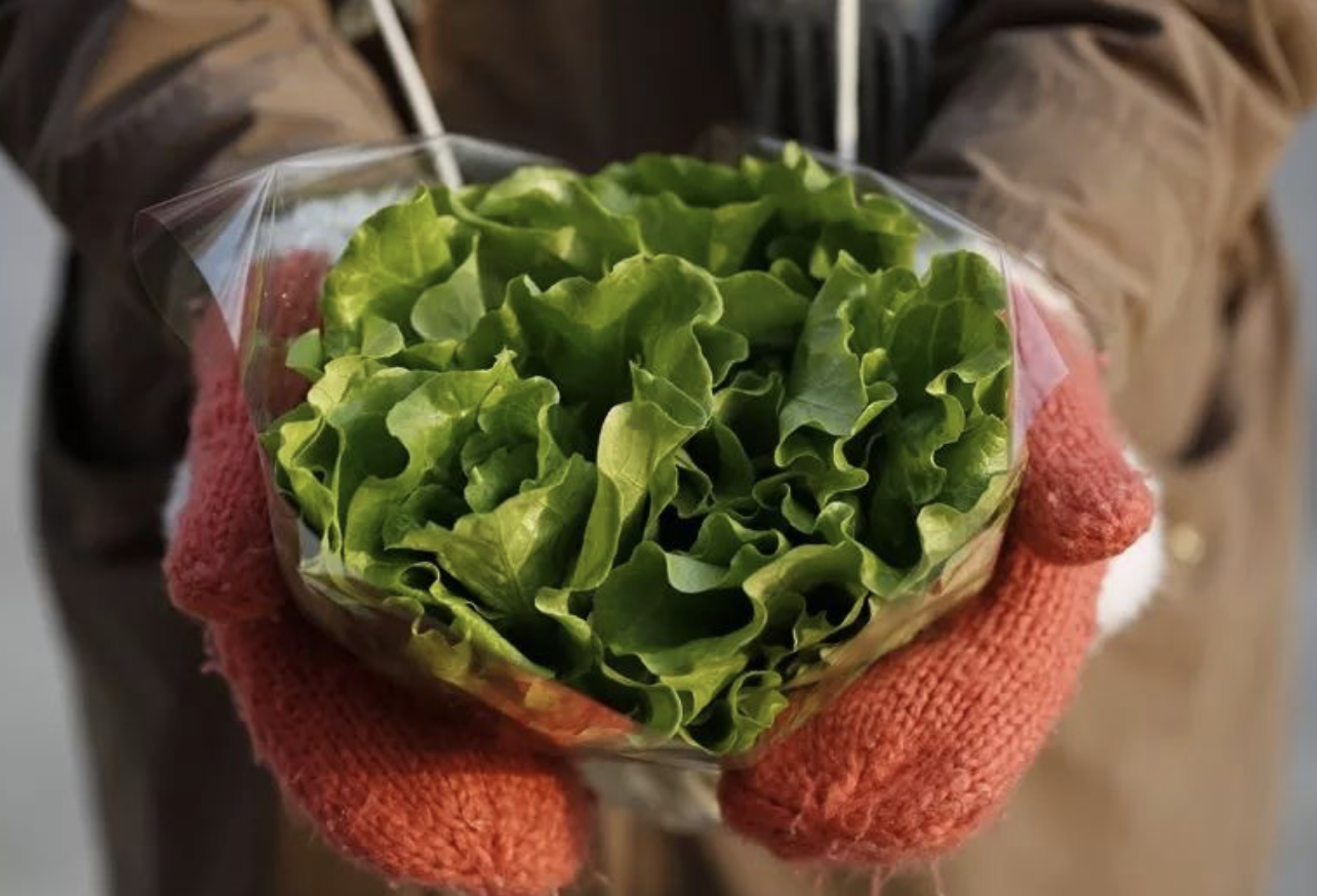富硒水培蔬菜的营养（什么是富养水培蔬菜）-硒宝网