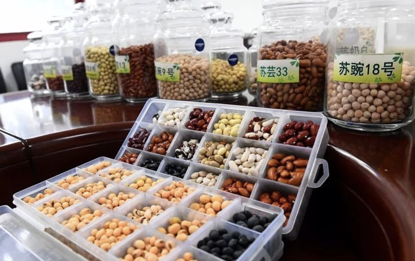 富硒水培蔬菜的营养（什么是富养水培蔬菜）-硒宝网