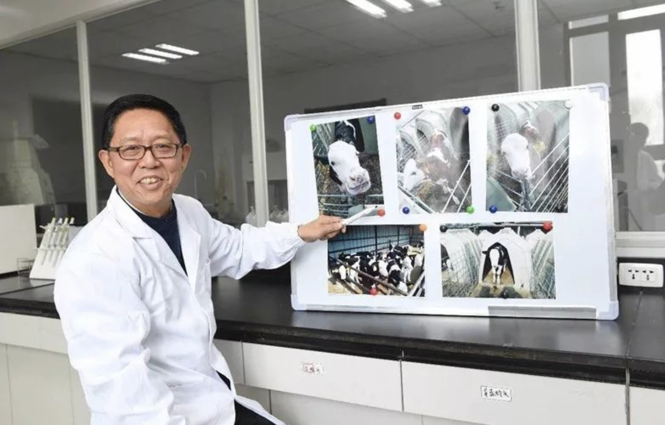 富硒水培蔬菜的营养（什么是富养水培蔬菜）-硒宝网