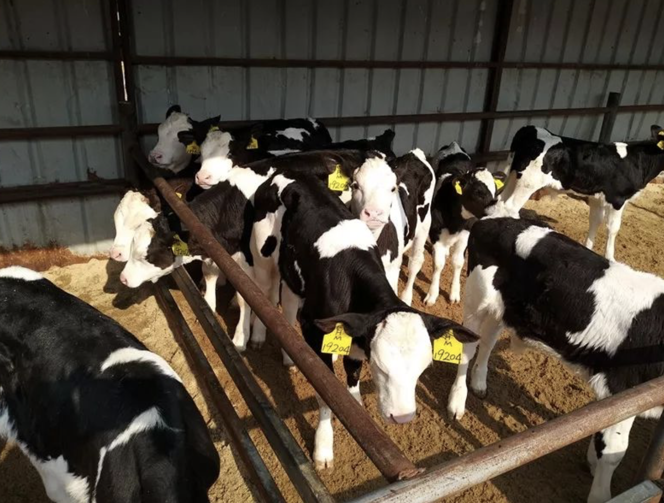 富硒水培蔬菜的营养（什么是富养水培蔬菜）-硒宝网