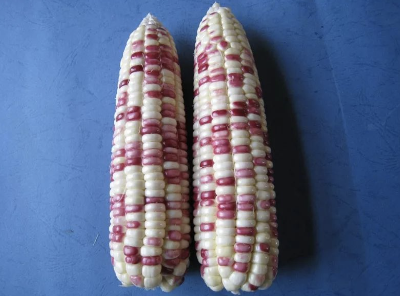 富硒水培蔬菜的营养（什么是富养水培蔬菜）-硒宝网