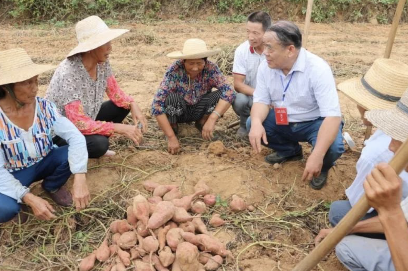 富硒水培蔬菜的营养（什么是富养水培蔬菜）-硒宝网