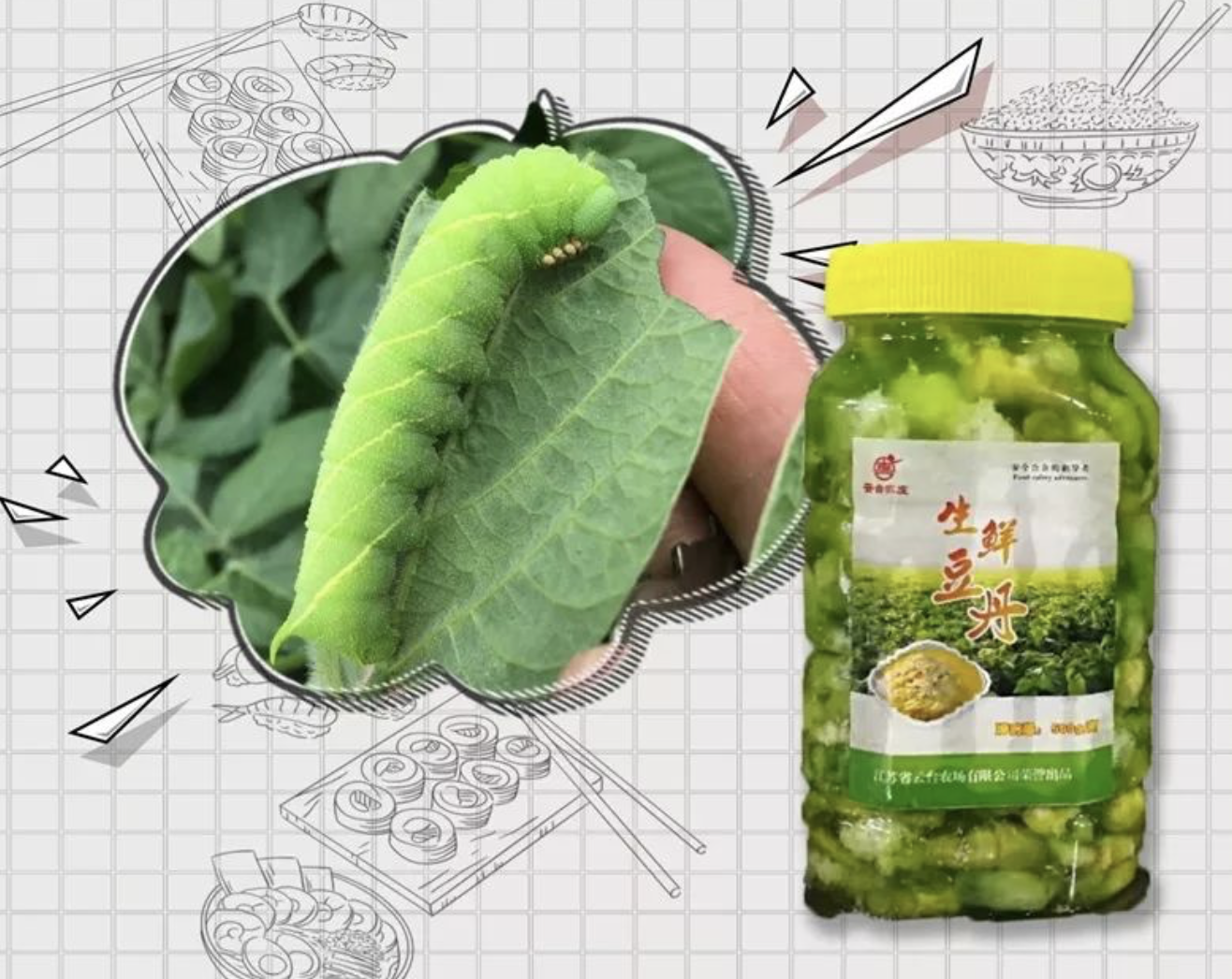 富硒水培蔬菜的营养（什么是富养水培蔬菜）-硒宝网