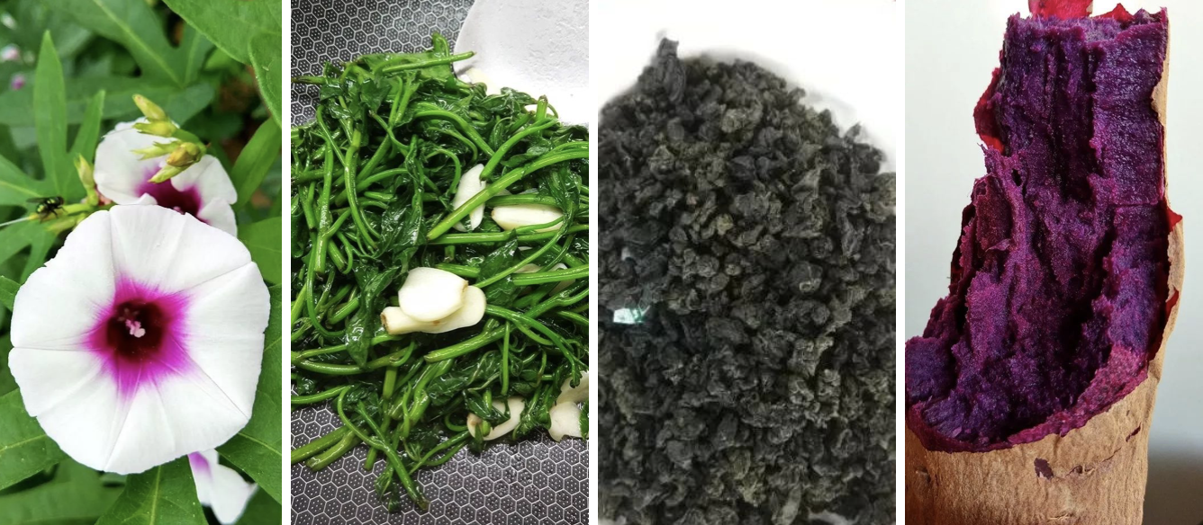 富硒水培蔬菜的营养（什么是富养水培蔬菜）-硒宝网