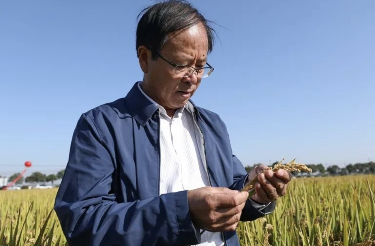 富硒水培蔬菜的营养（什么是富养水培蔬菜）-硒宝网