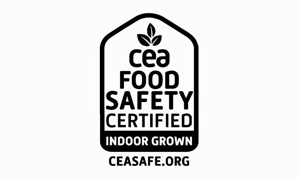 富硒水培蔬菜的营养(富硒蔬菜的种植方法)-硒宝网